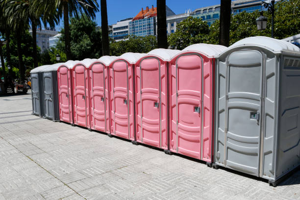 Best Standard Portable Toilet Rental  in Lemmon Valley, NV